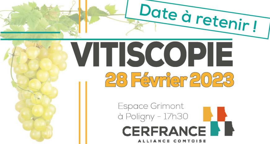 Vitiscopie
