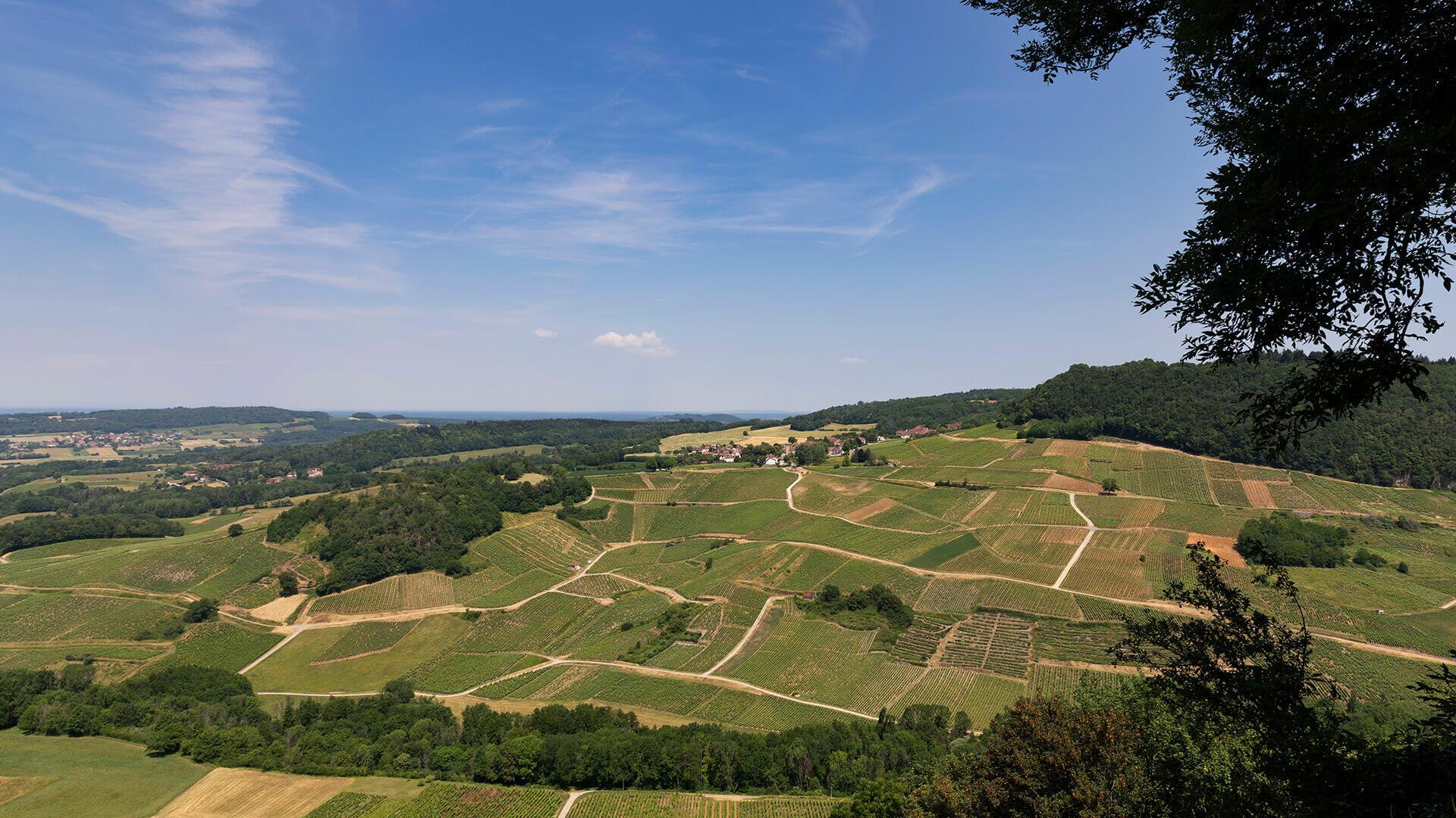 Vallée dans le Doubs