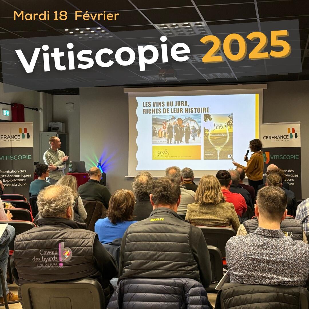 Vitiscopie 2025